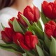 Букет 13 красных тюльпанов