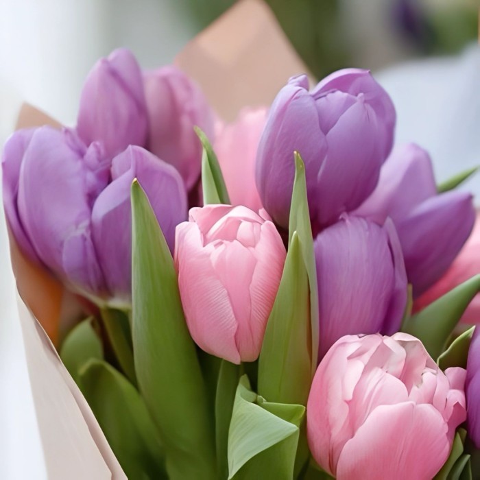 Букет 15 фиолетово-розовых тюльпанов