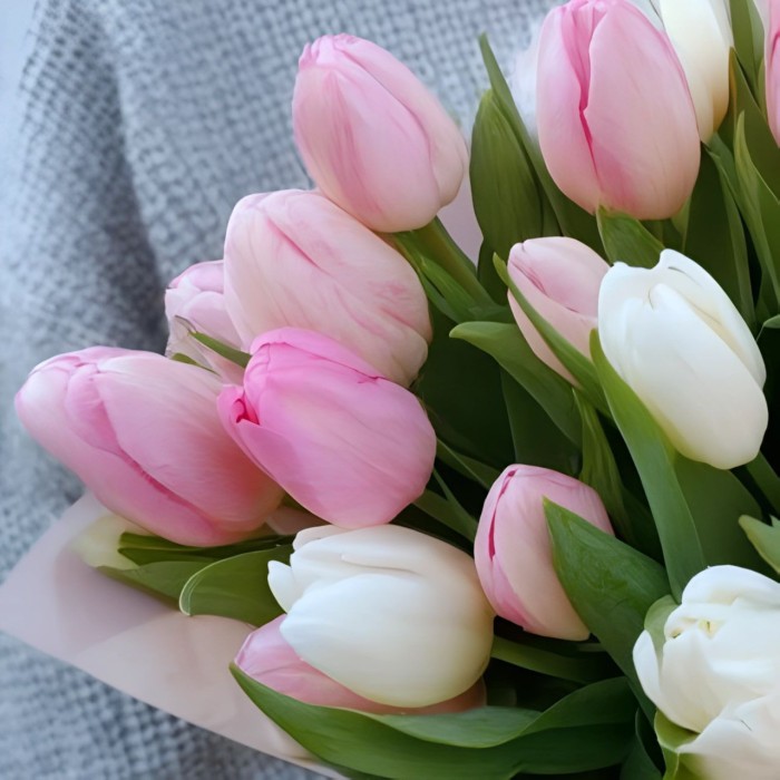 Букет 25 розовых и белых тюльпанов