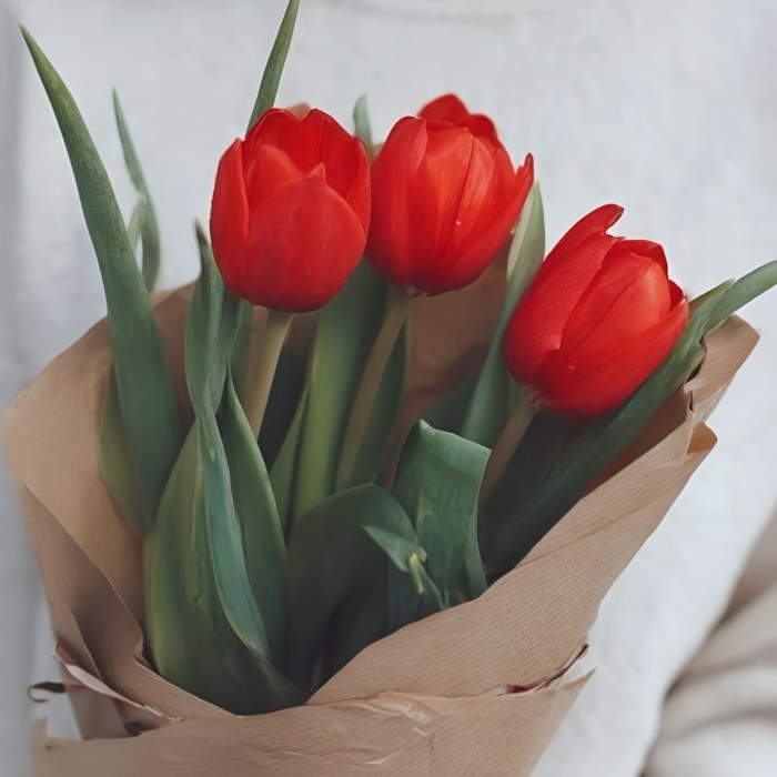 Букет 3 красных тюльпана