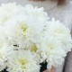 Букет 9 одноголовых хризантем