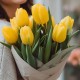 Букет 9 желтых тюльпанов