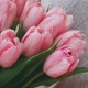 Букет из 13 розовых тюльпанов