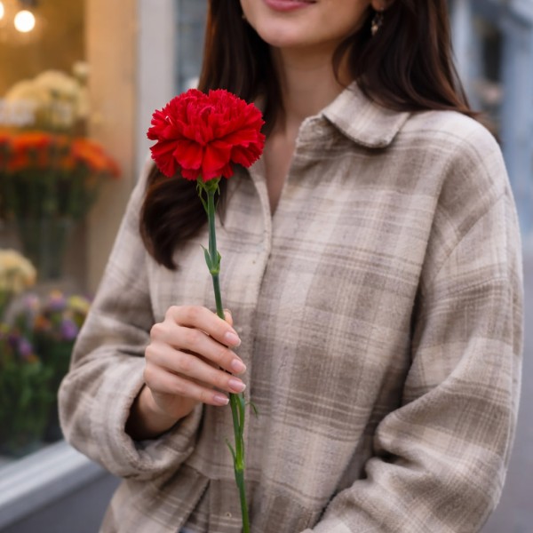 Красная гвоздика 1 штука