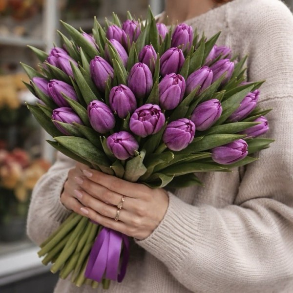 Тюльпан фиолетовый