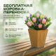 Букет 3 кремовые розы с гвоздикой