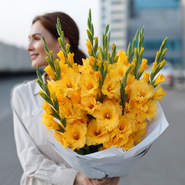 11 желтых гладиолусов