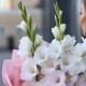 Букет 3 белых гладиолуса