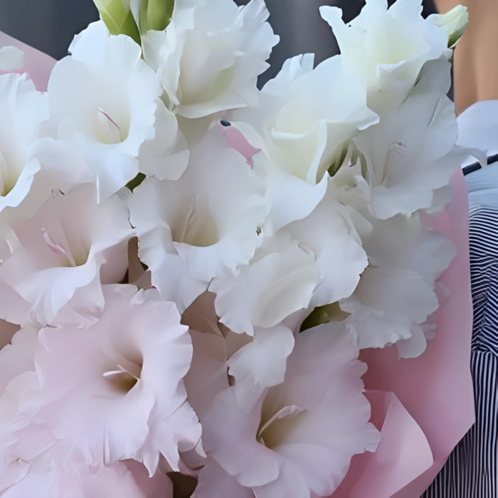 Букет 3 белых гладиолуса