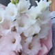 Букет 3 белых гладиолуса