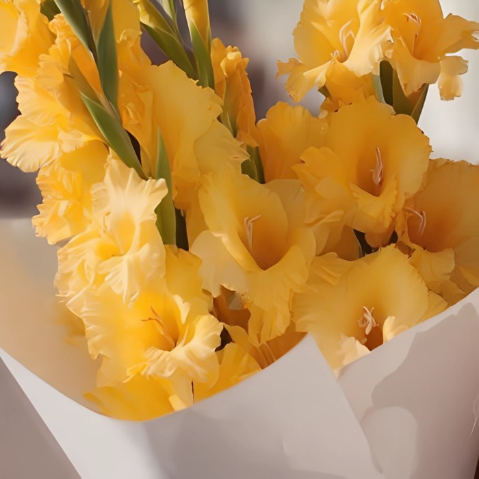 Букет 3 желтых гладиолуса