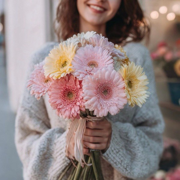 9 гербер микс