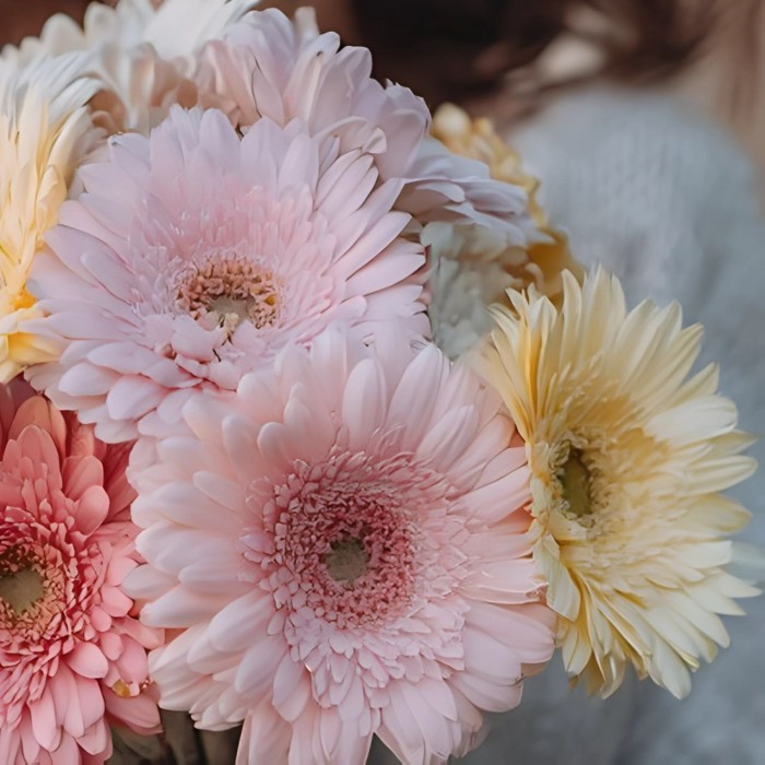 Букет 9 гербер микс